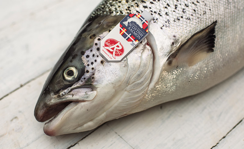 fresh salmon with label rouge logo on gill tag